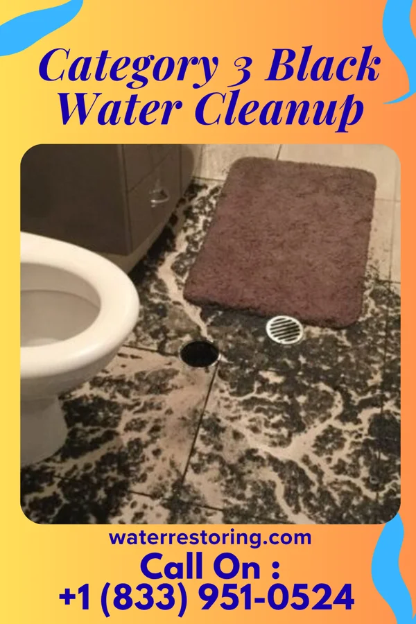 Category 3 Black Water Cleanup in Lindenwold, NJ