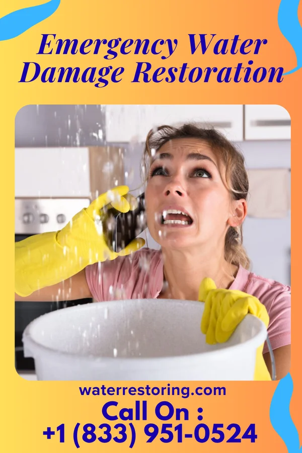 Emergency Water Damage Restoration in Lindenwold, NJ