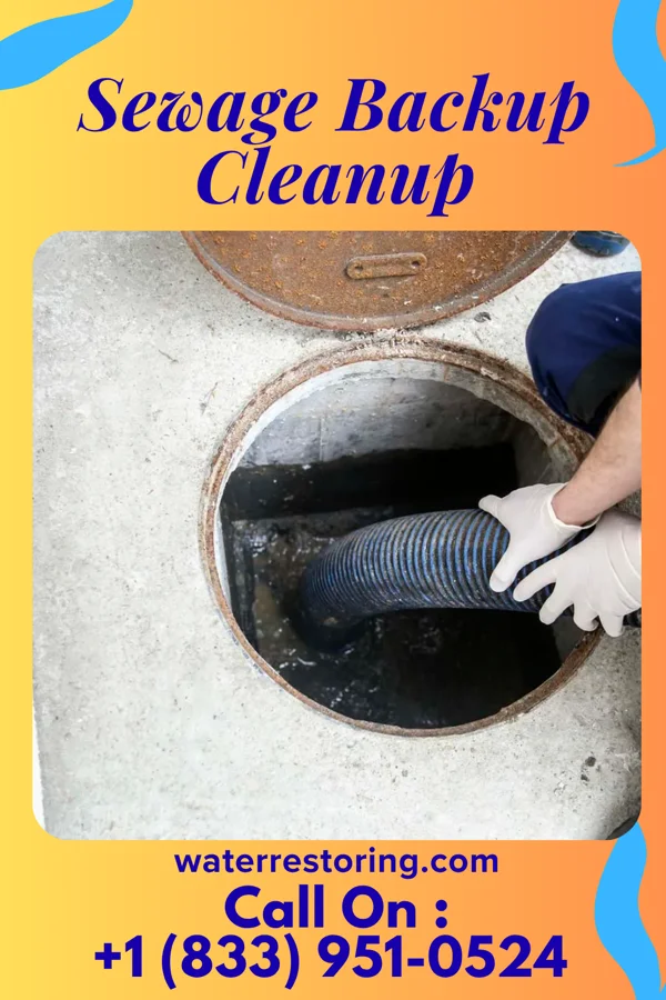 Sewage Backup Cleanup in Lindenwold, NJ
