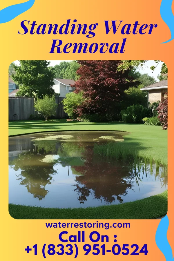 Standing Water Removal in Lindenwold, NJ